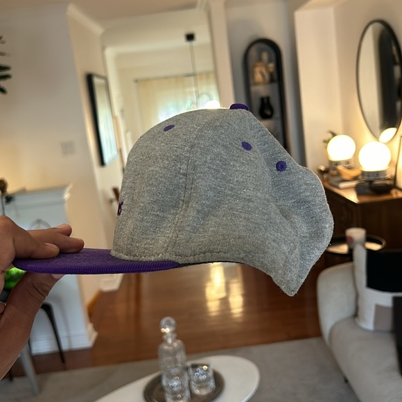 Grey and Purple Taurus Box Snapback Hat - Picture 2 of 3